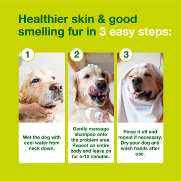 DOUXO® S3 SEB Shampoo