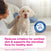 DOUXO® S3 CALM Shampoo & DOUXO® S3 CALM Mousse Bundle