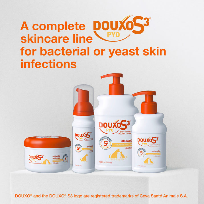 DOUXO® S3 PYO Mousse - Antiseptic Leave-on Mousse for Dogs