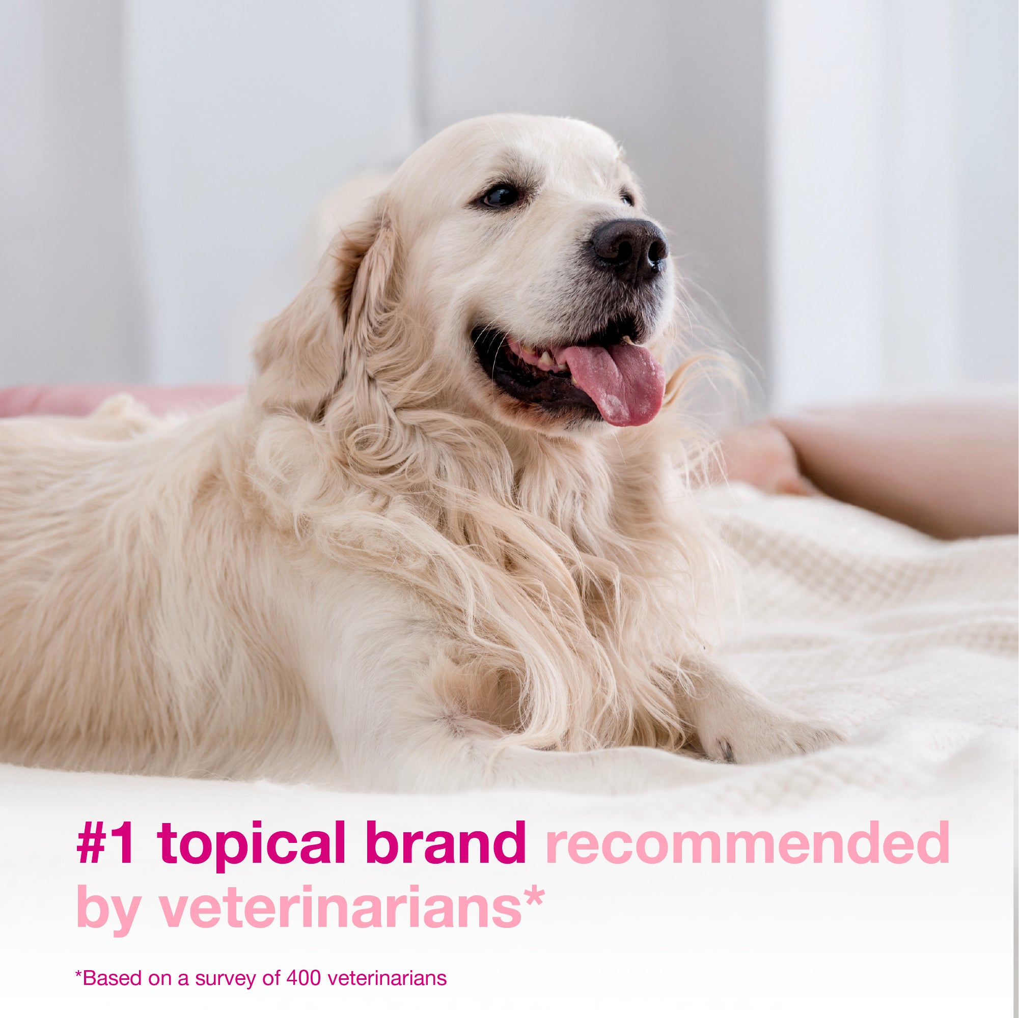 DOUXO® S3 CALM Mousse