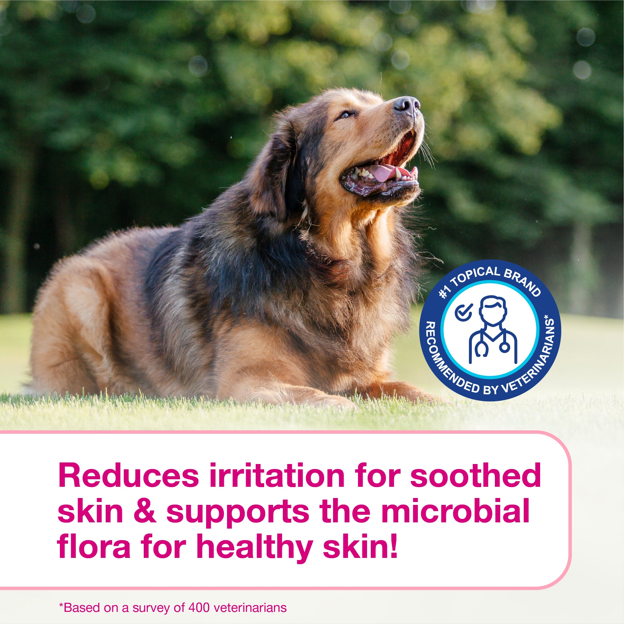 DOUXO® S3 CALM Mousse