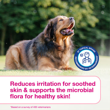 DOUXO® S3 CALM Mousse