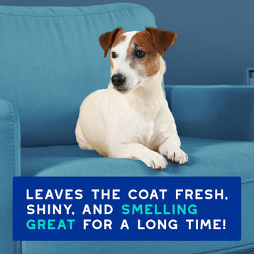 DOUXO® Skin & Coat SPA Odor Control Spray