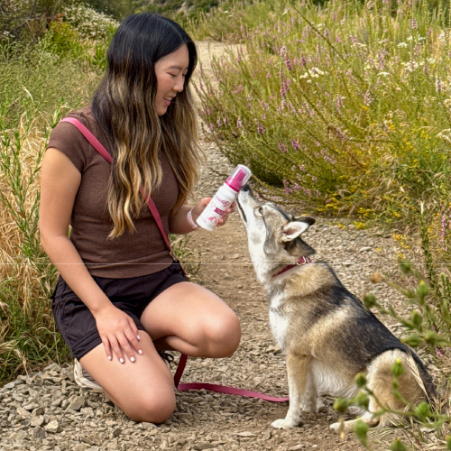 A dog and person are sitting on a nature trail. The dog is smelling a bottle of Douxo S3 Mousse the person is holding.